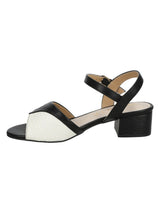 Sandalia Azaleia Sienna-512 Blanco - 1; Sandalia Azaleia Sienna-512 Blanco - 2; Sandalia Azaleia Sienna-512 Blanco - 3; Sandalia Azaleia Sienna-512 Blanco - 4; Sandalia Azaleia Sienna-512 Blanco - 5; Sandalia Azaleia Sienna-512 Blanco - 6; Sandalia Azaleia Sienna-512 Blanco - 7; Sandalia Azaleia Sienna-512 Blanco - 8; Sandalia Azaleia Sienna-512 Blanco - 9; Sandalia Azaleia Sienna-512 Blanco - 10
