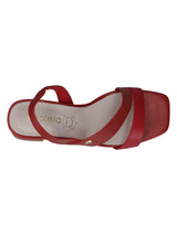 Sandalia Azaleia Regina-403 Rojo - 1; Sandalia Azaleia Regina-403 Rojo - 2; Sandalia Azaleia Regina-403 Rojo - 3; Sandalia Azaleia Regina-403 Rojo - 4; Sandalia Azaleia Regina-403 Rojo - 5; Sandalia Azaleia Regina-403 Rojo - 6; Sandalia Azaleia Regina-403 Rojo - 7; Sandalia Azaleia Regina-403 Rojo - 8; Sandalia Azaleia Regina-403 Rojo - 9; Sandalia Azaleia Regina-403 Rojo - 10