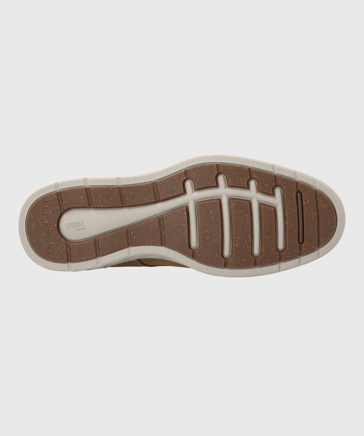 Zapato Spinal Broke Cuero Hombre