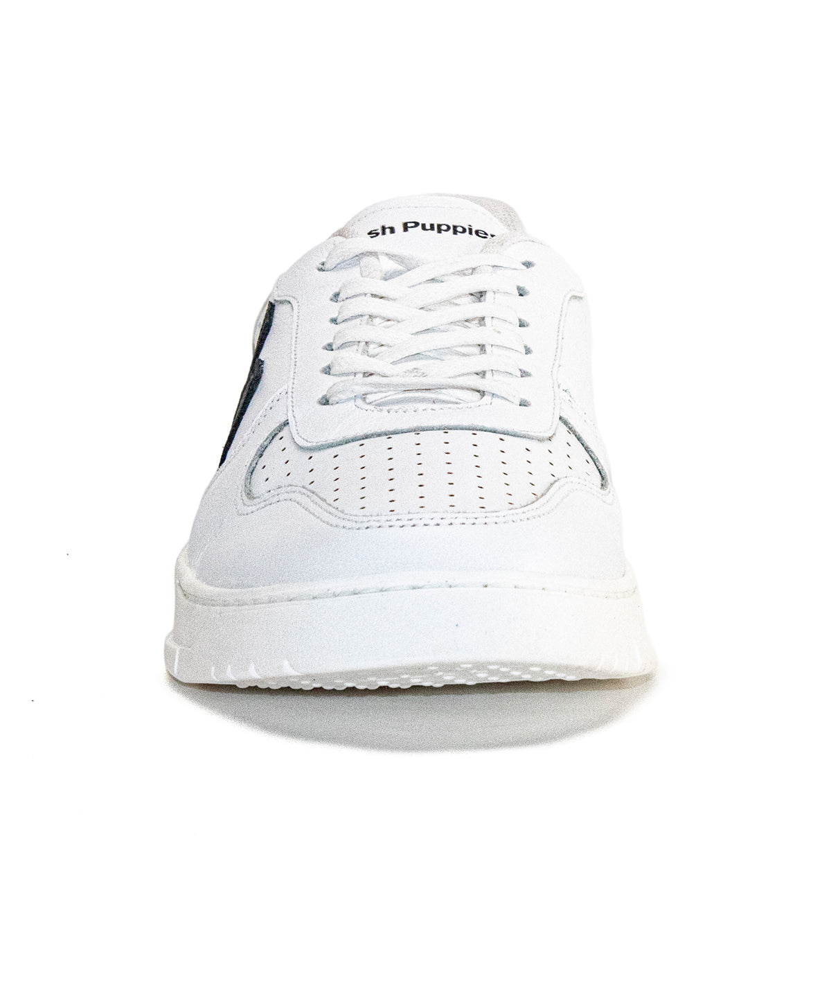 Zapatilla Phillippe Cuero Hombre