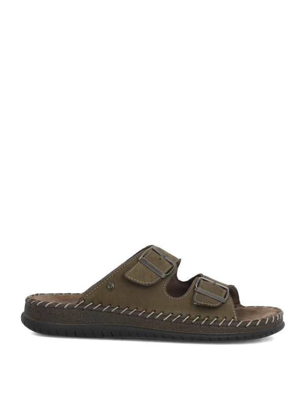 OLIVE[176