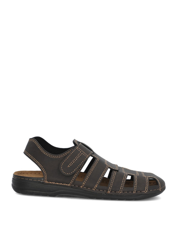 Dk BROWN[DK1
