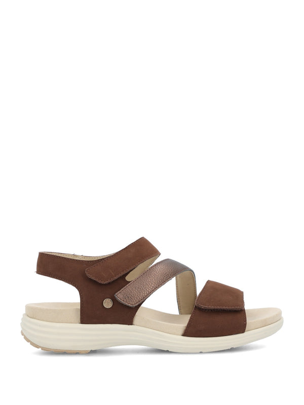 Dk BROWN[DK1