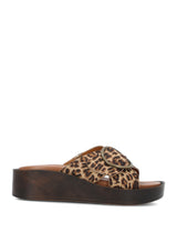 Leopardo