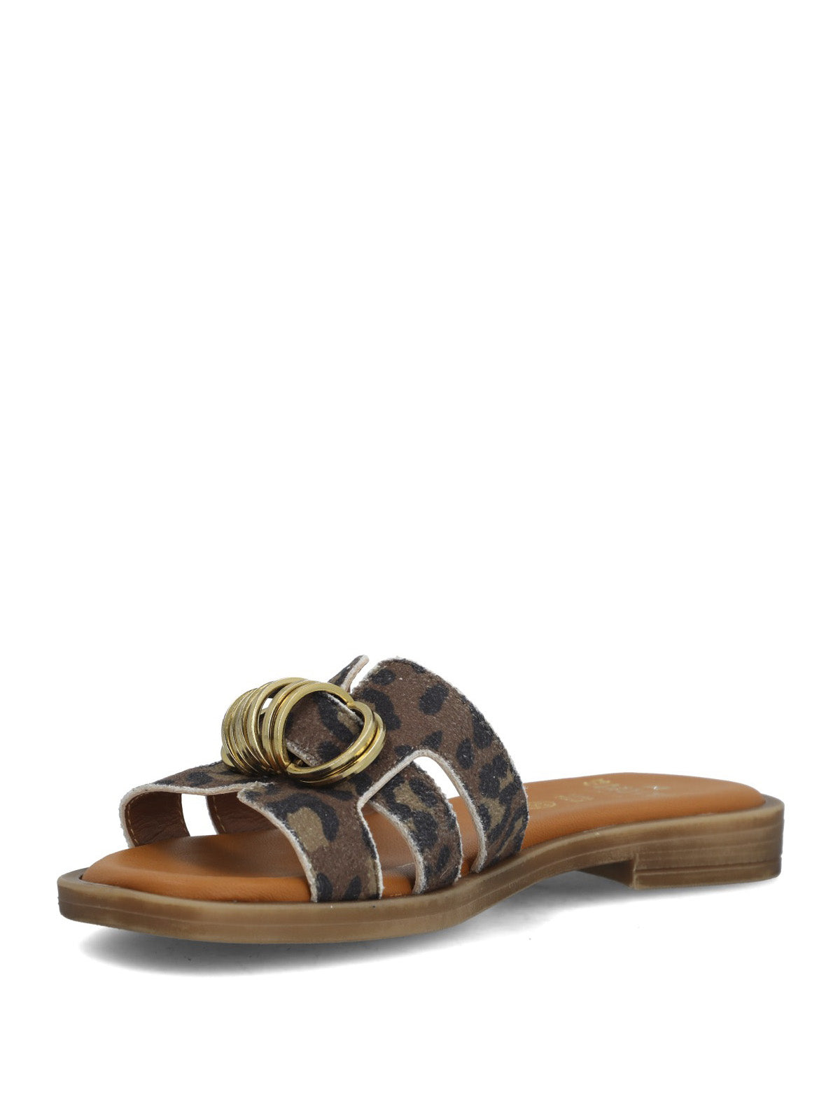 Enzar Animal Print - 1; Enzar Animal Print - 2; Enzar Animal Print - 3; Enzar Animal Print - 4; Enzar Animal Print - 5; Enzar Animal Print - 6; Enzar Animal Print - 7; Enzar Animal Print - 8; Enzar Animal Print - 9; Enzar Animal Print - 10