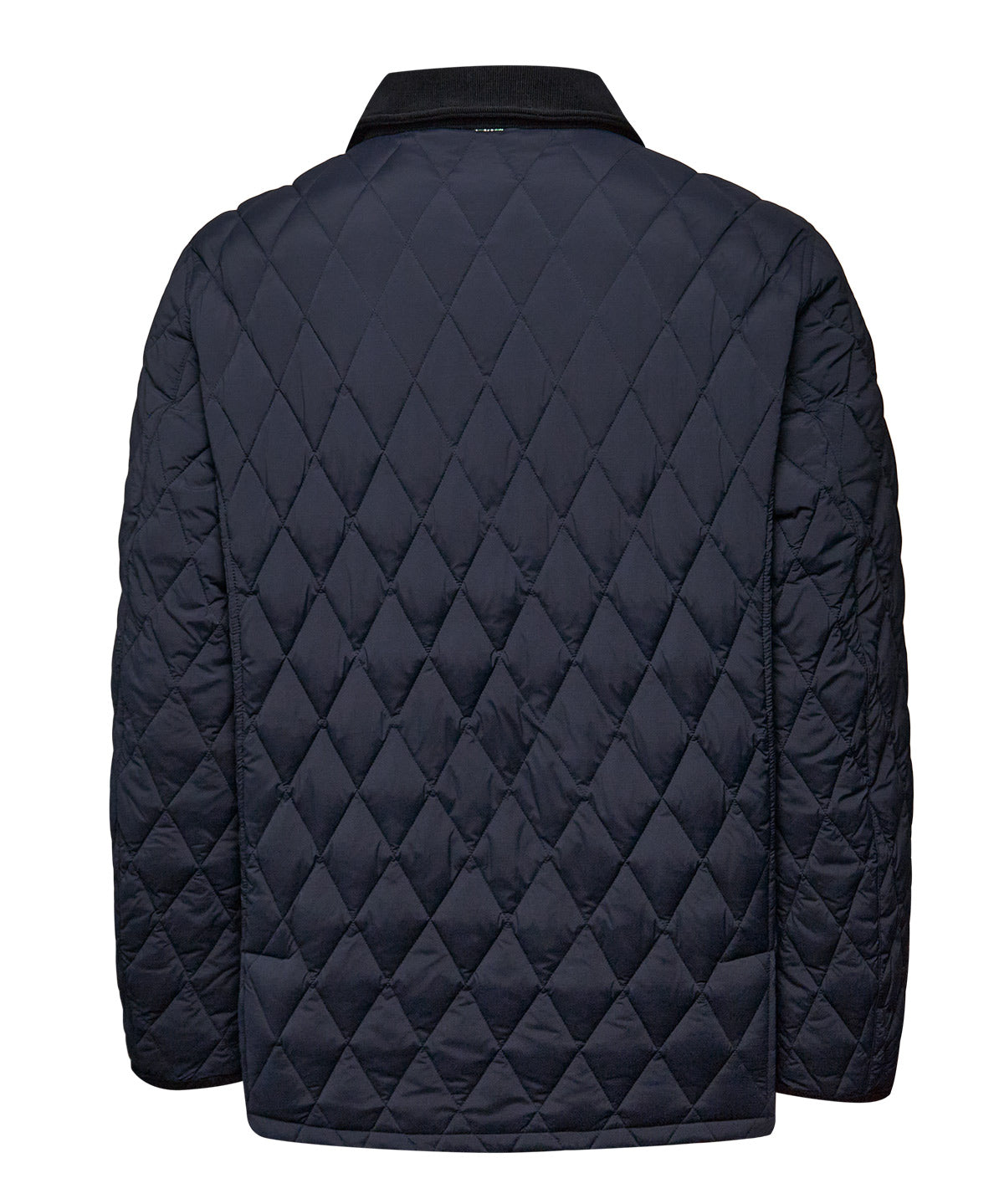 Casaca Nylon Hombre Newport Rockford