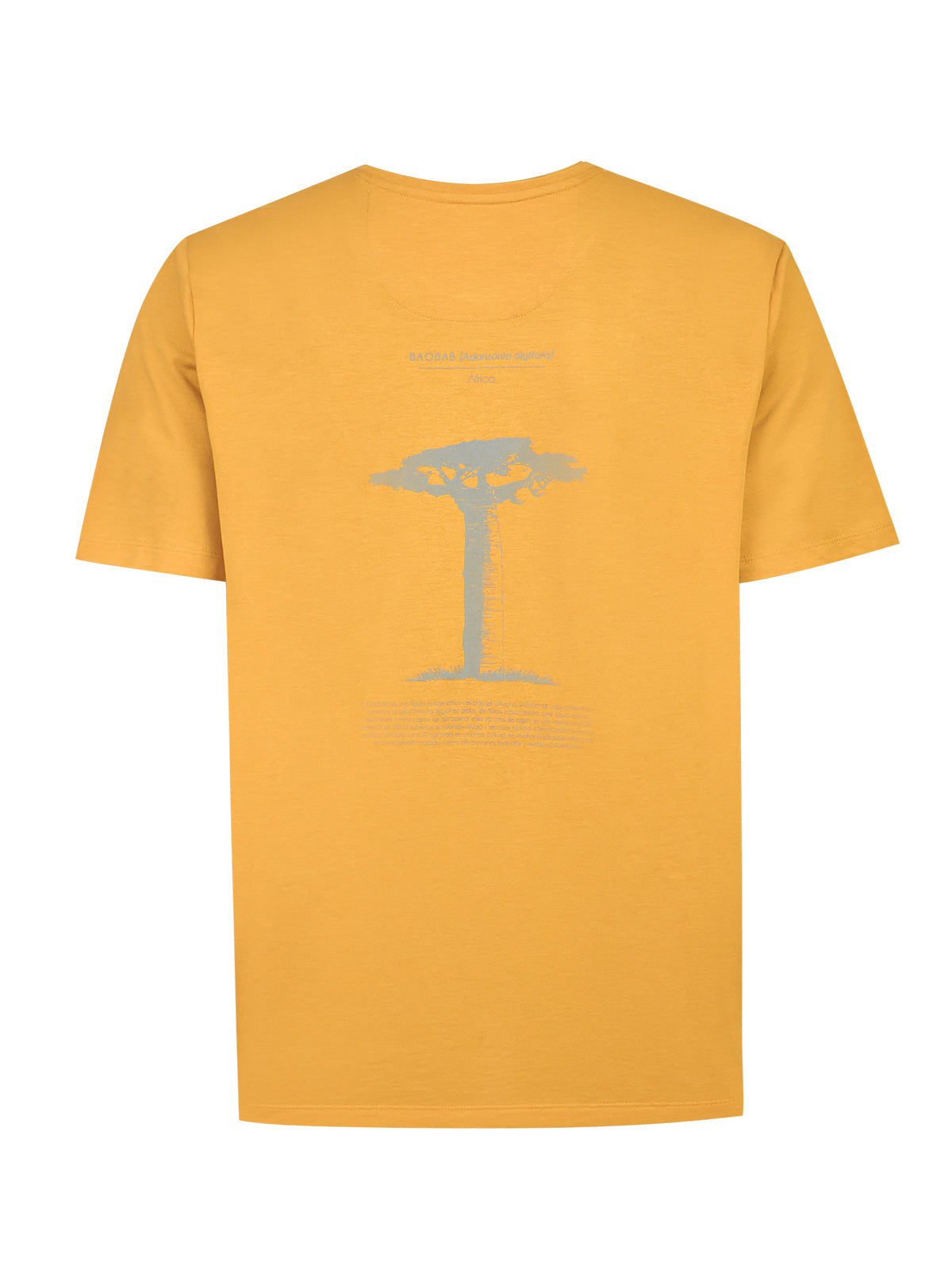 Polo Hombre Onetree Rockford