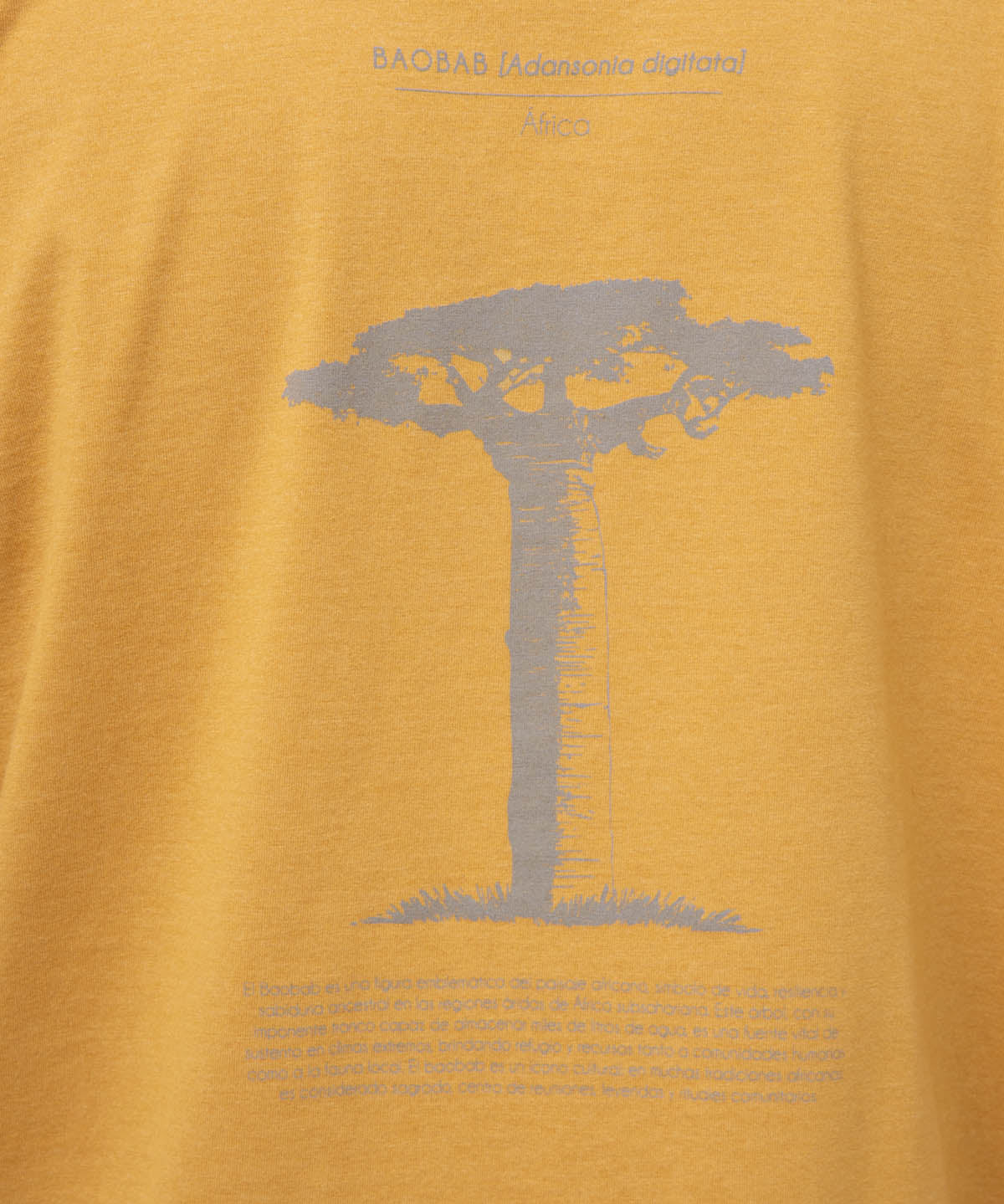 Polo Hombre Onetree Rockford