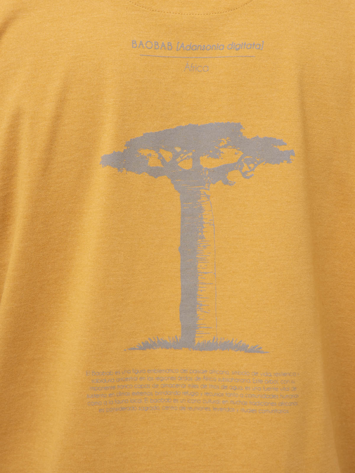 Polo Hombre Onetree Rockford