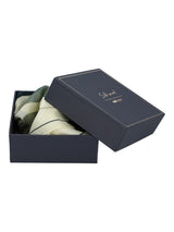 Pañuelo Para Mujer Seda Rkf Silk Effie Scarf Multicolor Rockford